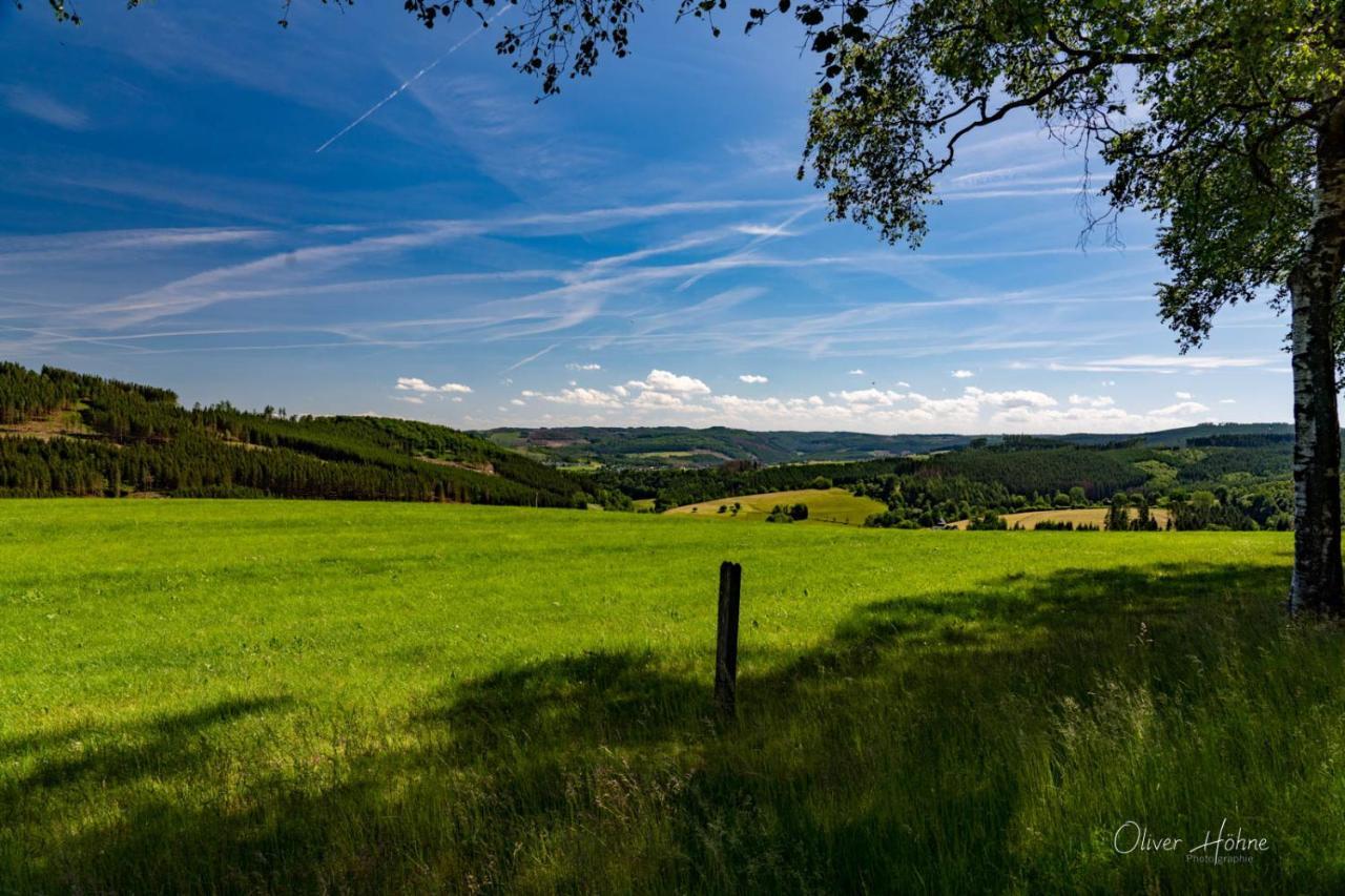 Ferienwohnung Am Waldrand Bad Laasphe Exteriör bild