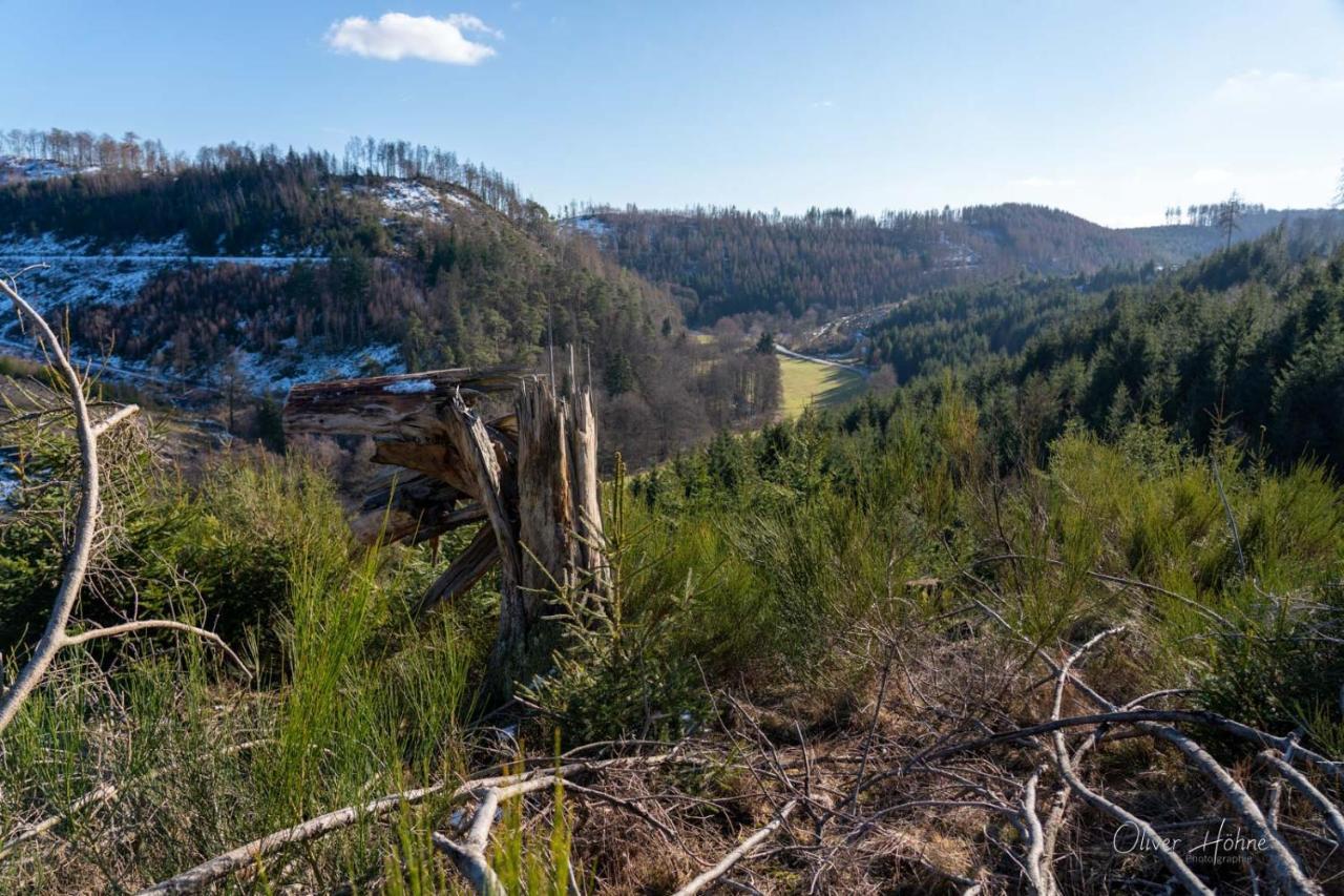 Ferienwohnung Am Waldrand Bad Laasphe Exteriör bild