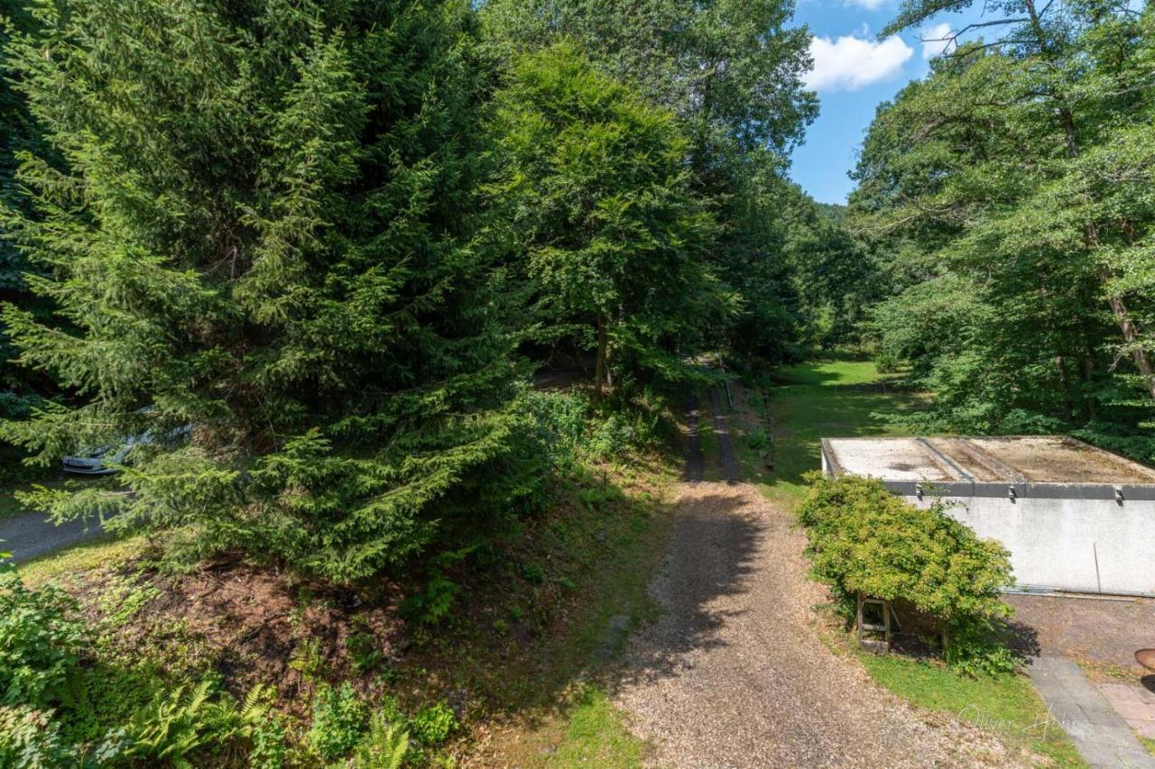 Ferienwohnung Am Waldrand Bad Laasphe Exteriör bild