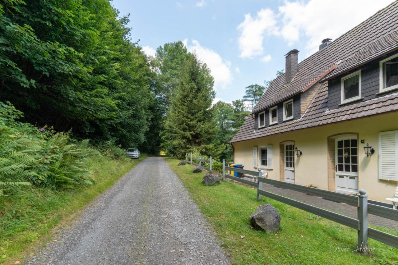 Ferienwohnung Am Waldrand Bad Laasphe Exteriör bild
