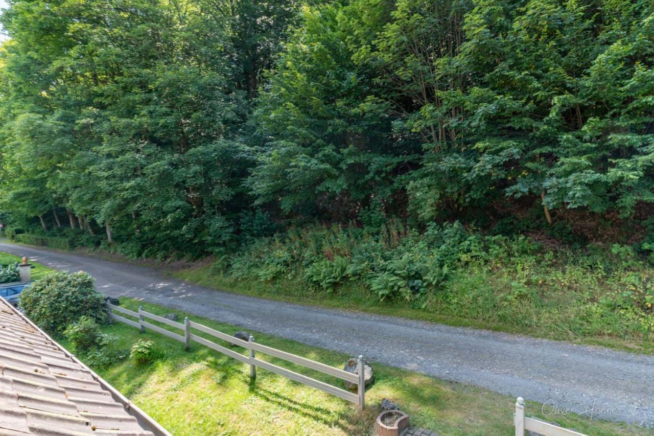 Ferienwohnung Am Waldrand Bad Laasphe Exteriör bild